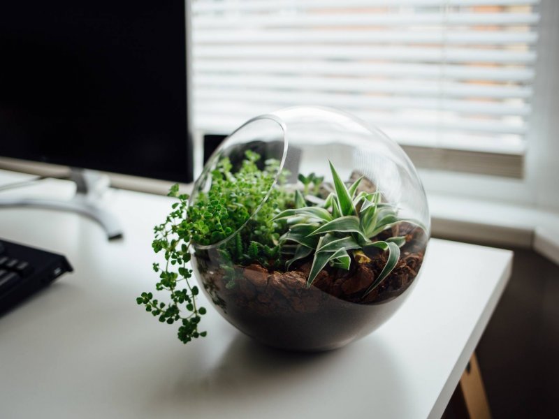 Ecological System in Office